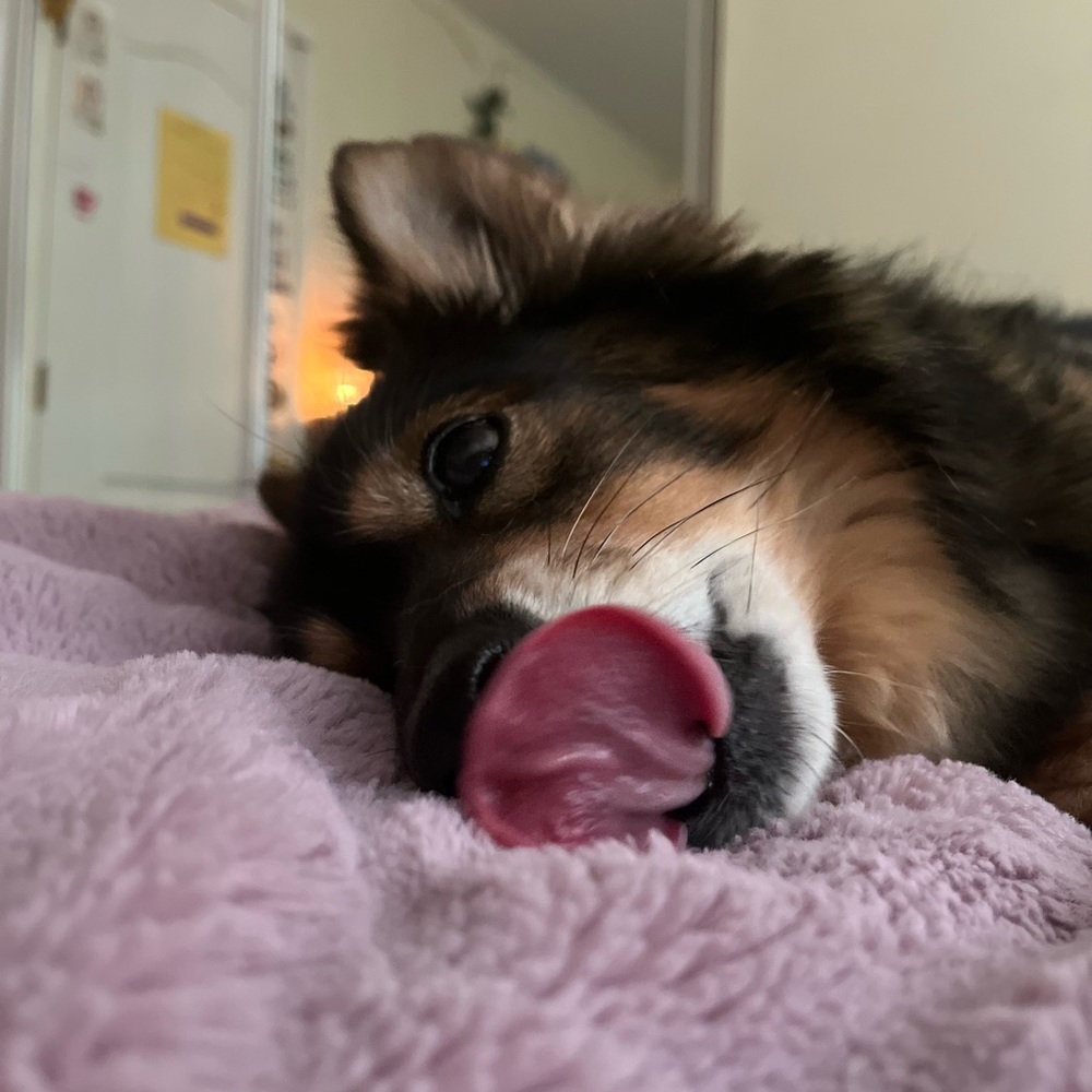 Meet your Posher, Addyson